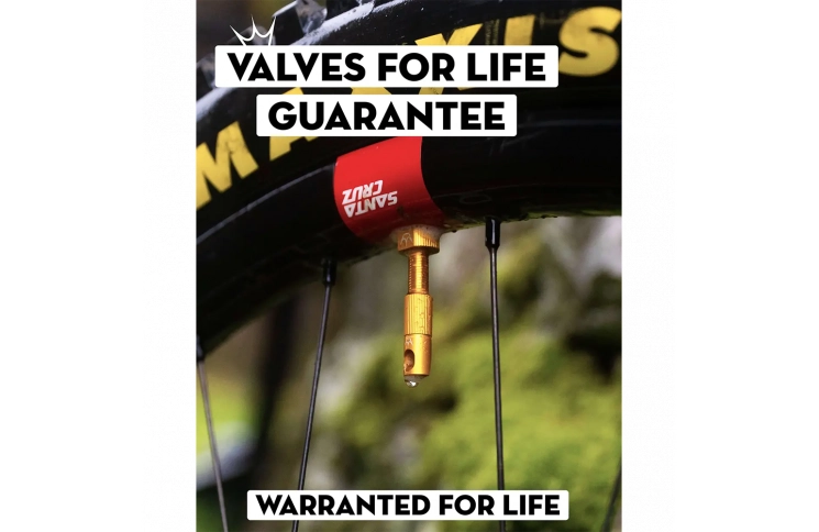 Ниппели Peaty's x Chris King Tubeless Valves, 42mm, Gold