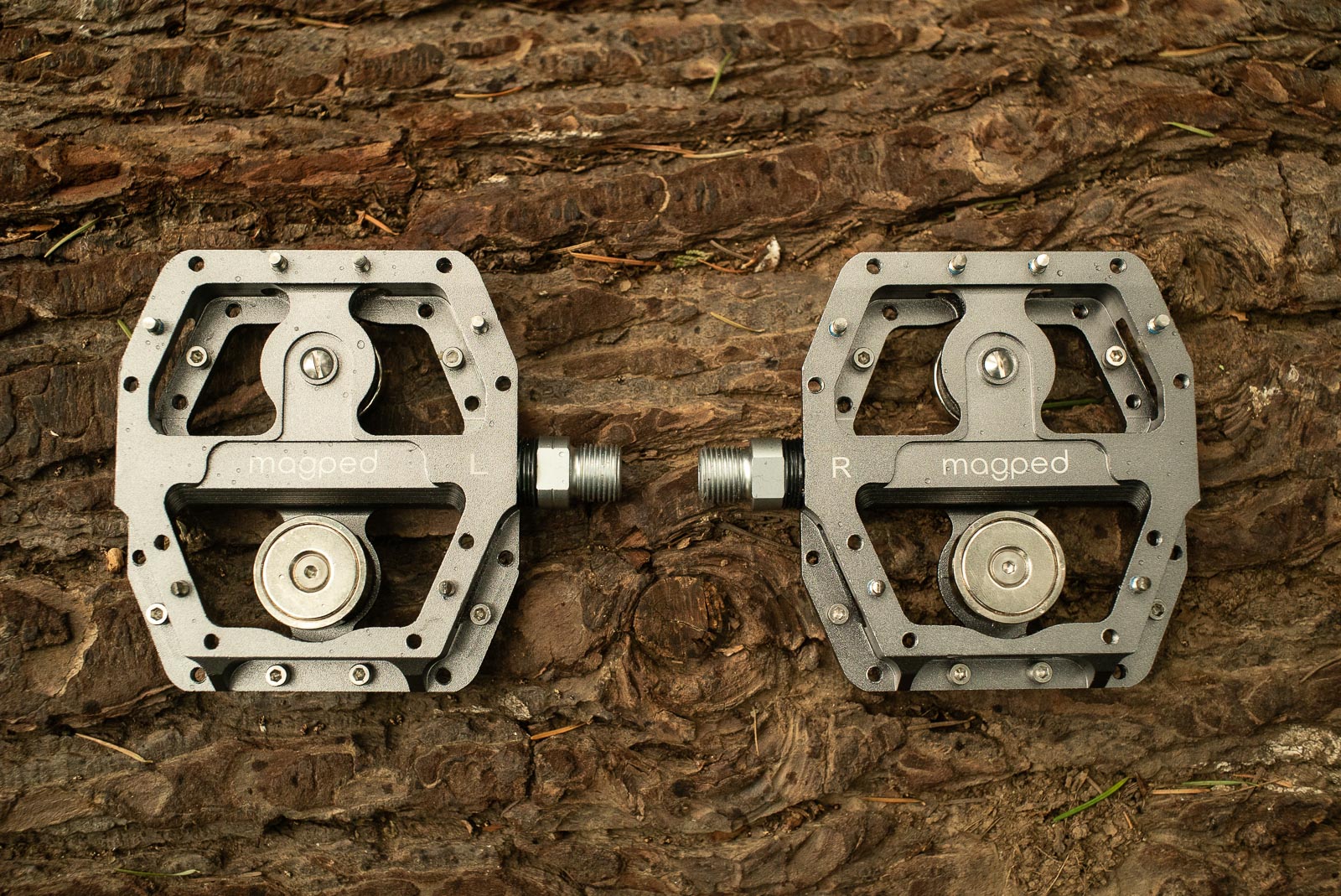 Freehub_Review_Magpeds-4.jpg (489 KB)